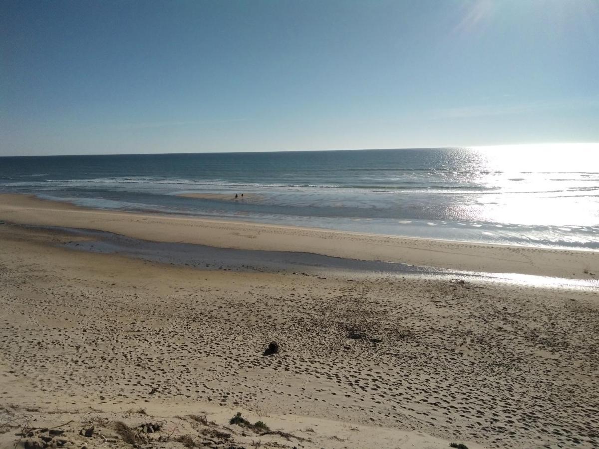 ホテル Zenzela Surf House Naujac-sur-Mer エクステリア 写真