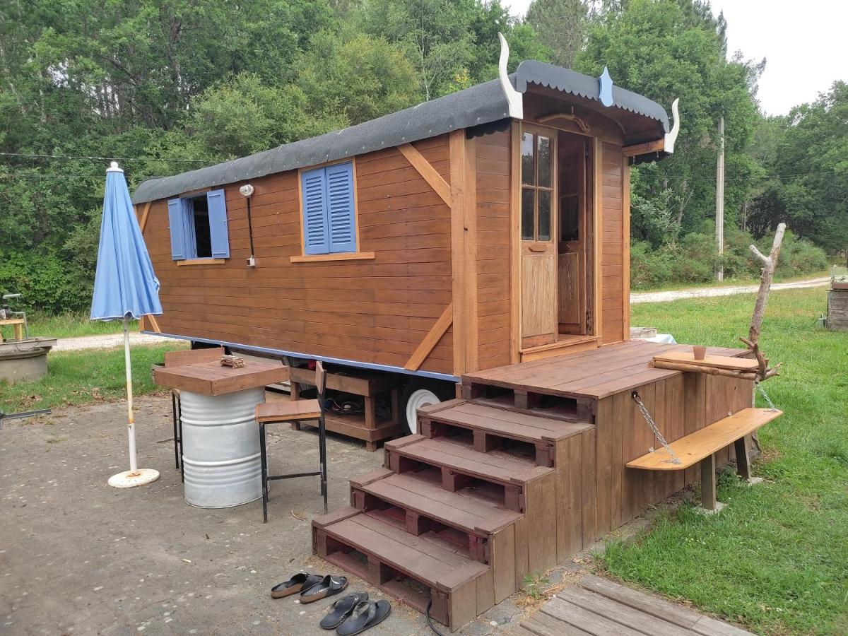 ホテル Zenzela Surf House Naujac-sur-Mer エクステリア 写真